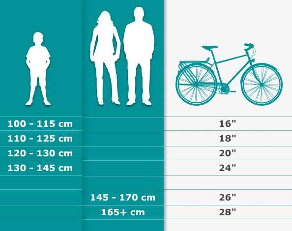 Experten empfehlen eine Probefahrt, um die optimale Radgröße zu ermitteln