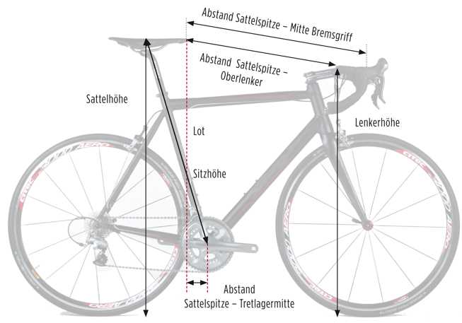 Wie finde ich die richtige Rahmenhöhe für ein Fahrrad?