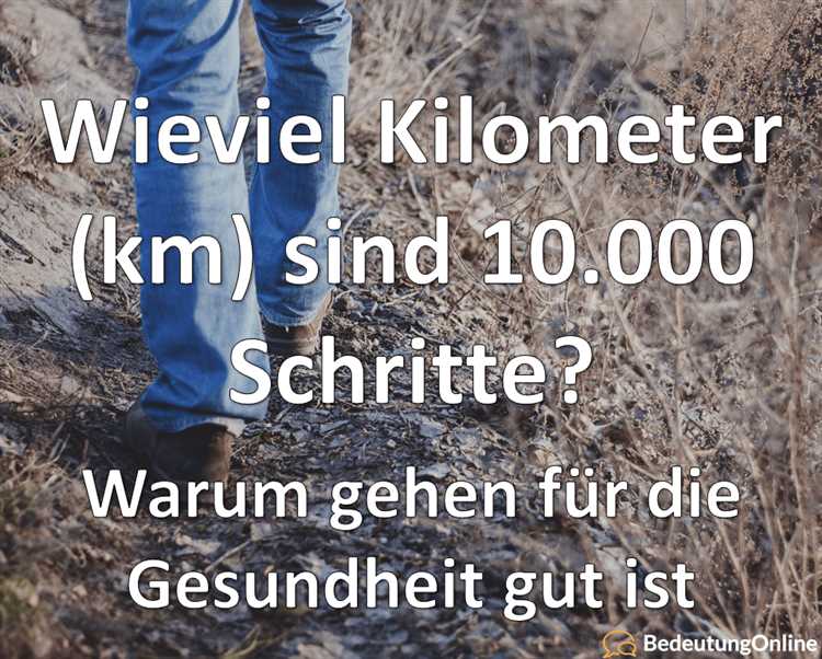Die Anzahl der Schritte pro Kilometer berechnen