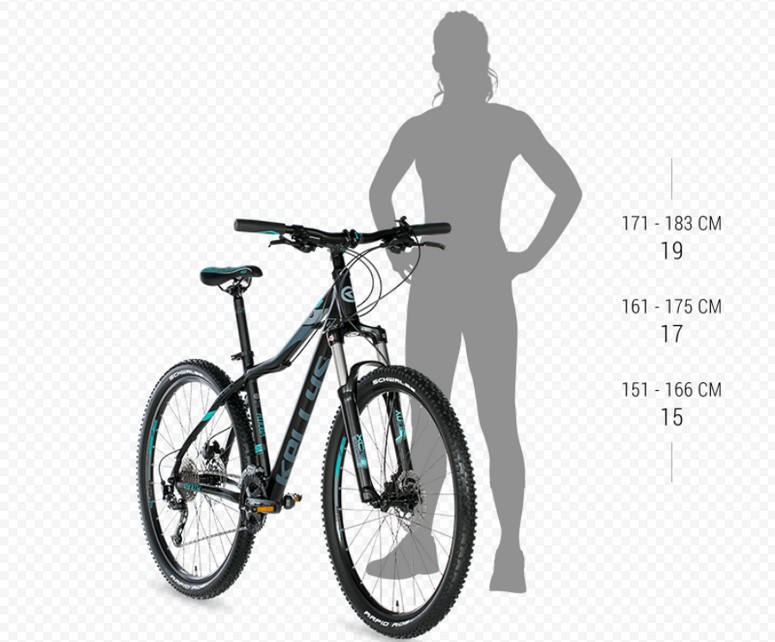 Welche Körpergröße bei 20 Zoll Fahrrad?